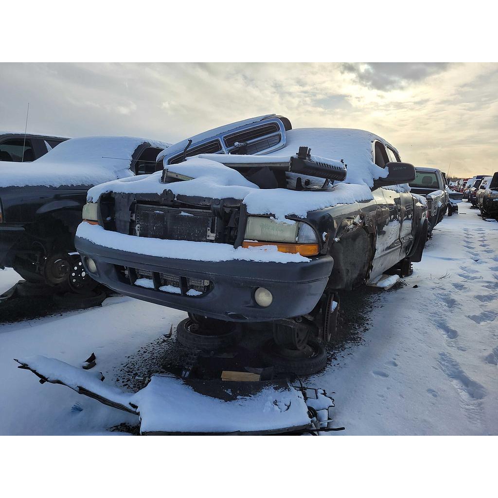 DODGE DAKOTA 2004