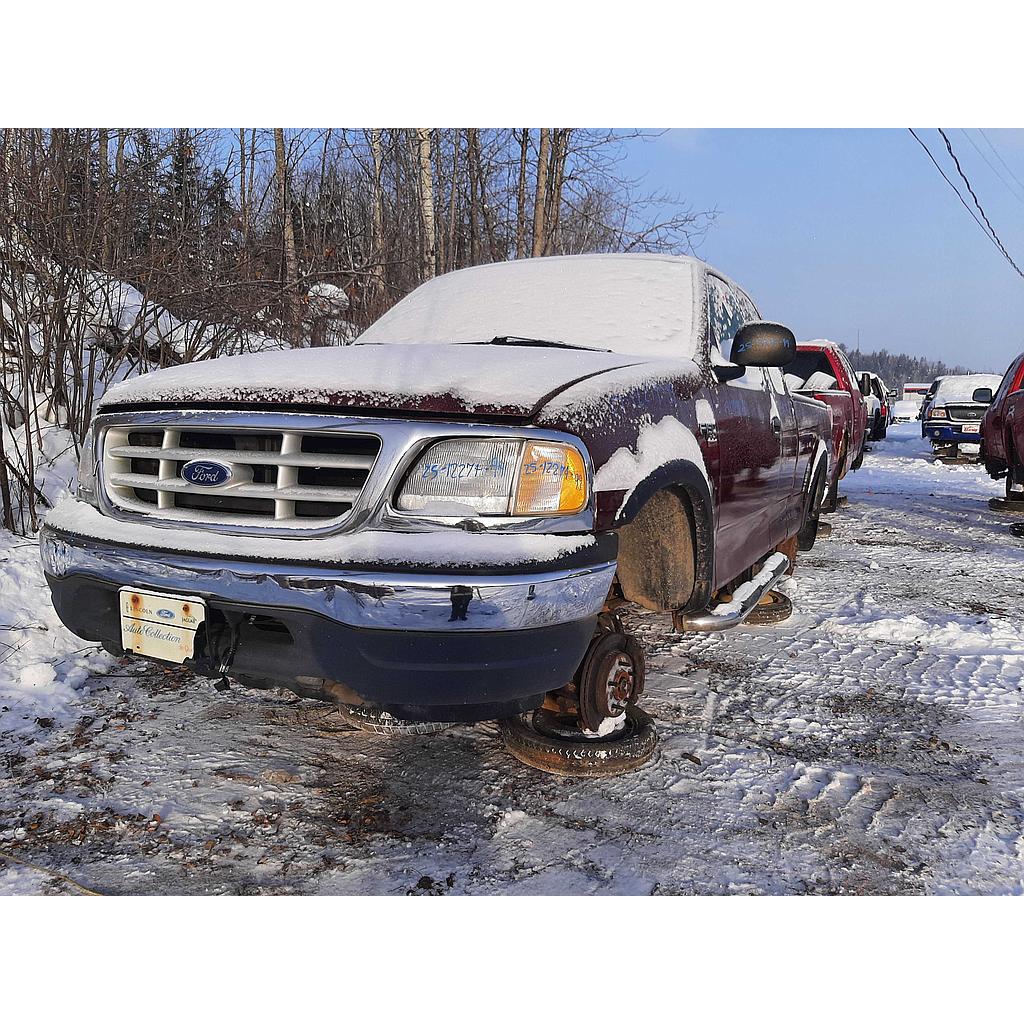 FORD F-150 1999
