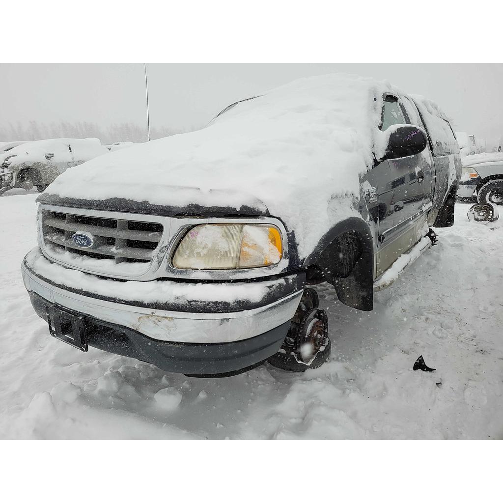 FORD F-150 1999