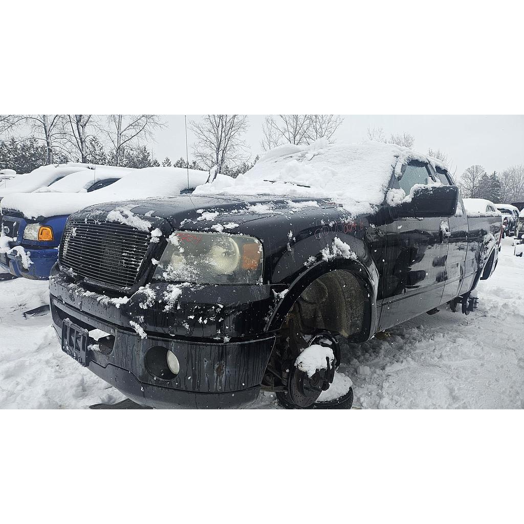 FORD F-150 2006