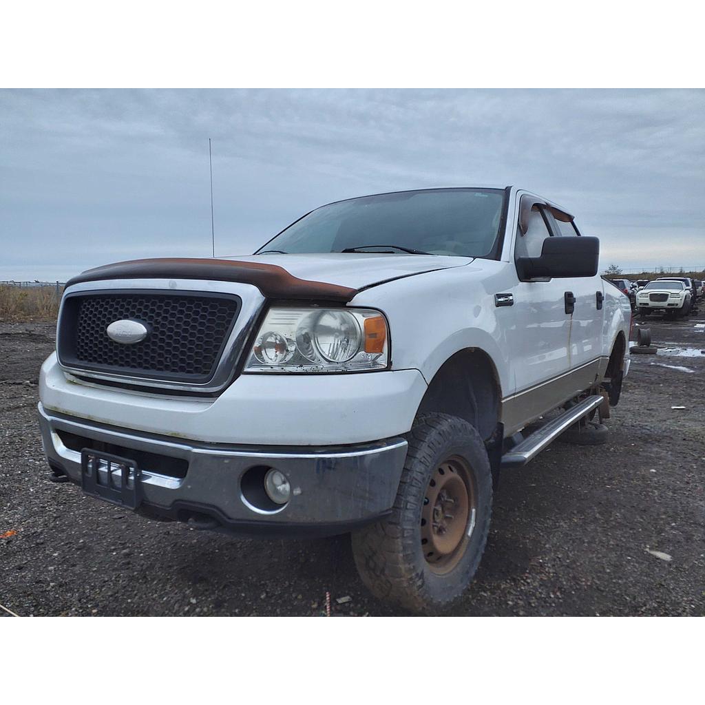 FORD F-150 2007