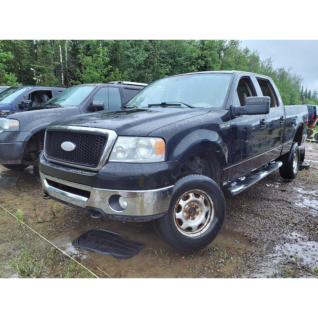 FORD F-150 2008