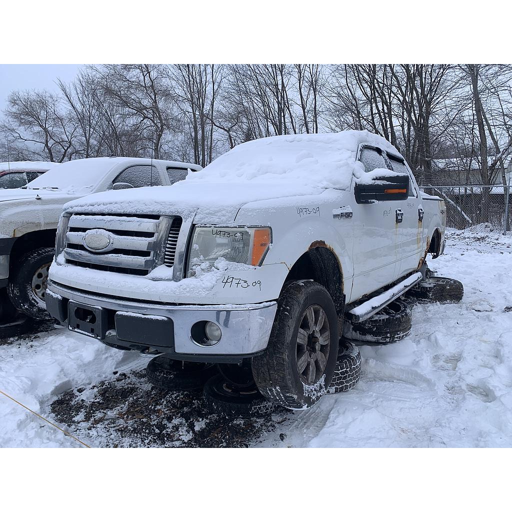 FORD F-150 2009