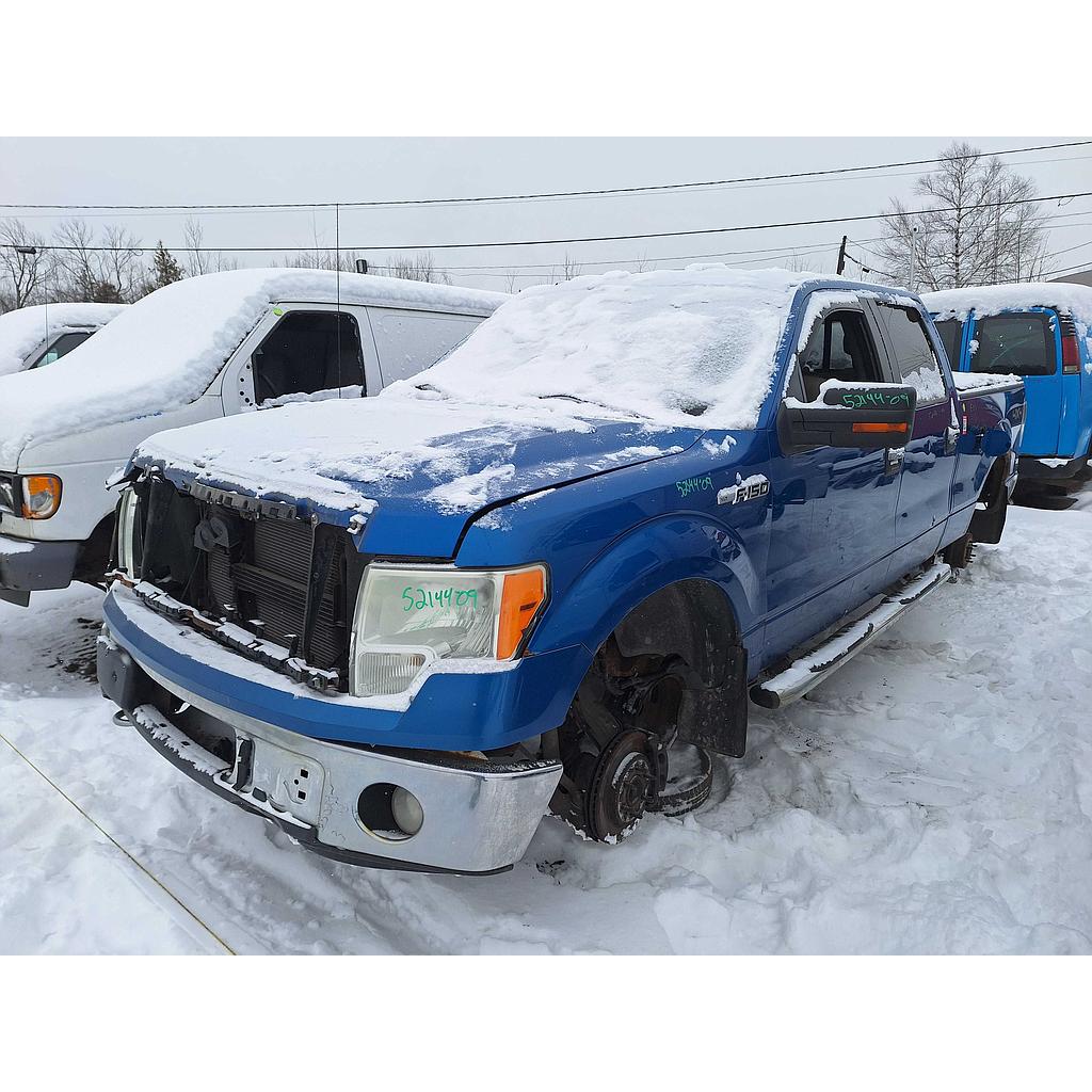 FORD F-150 2009