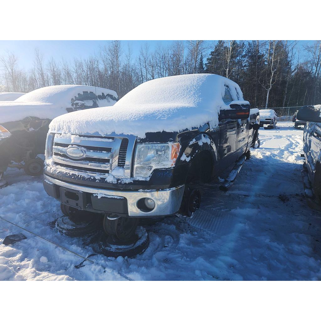 FORD F-150 2009