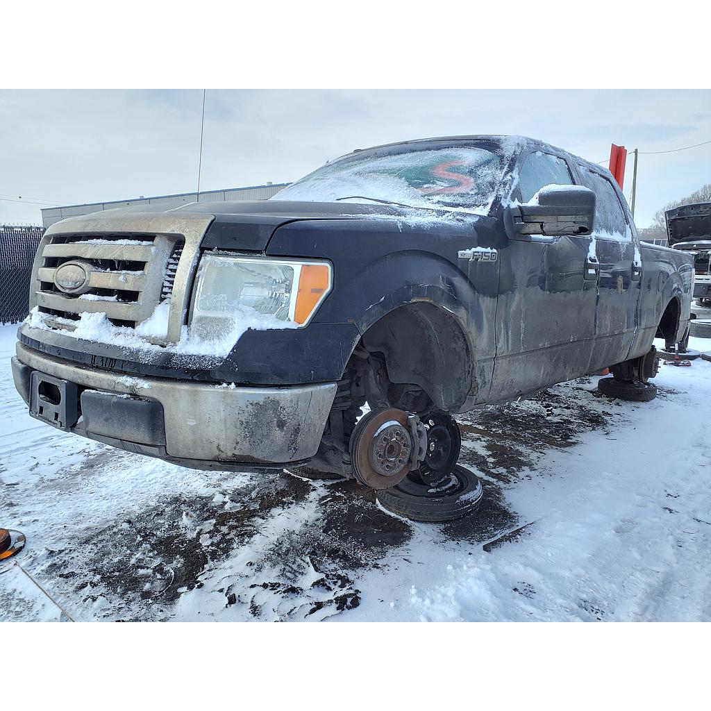 FORD F-150 2009