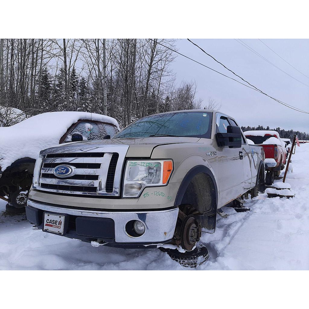 FORD F-150 2009