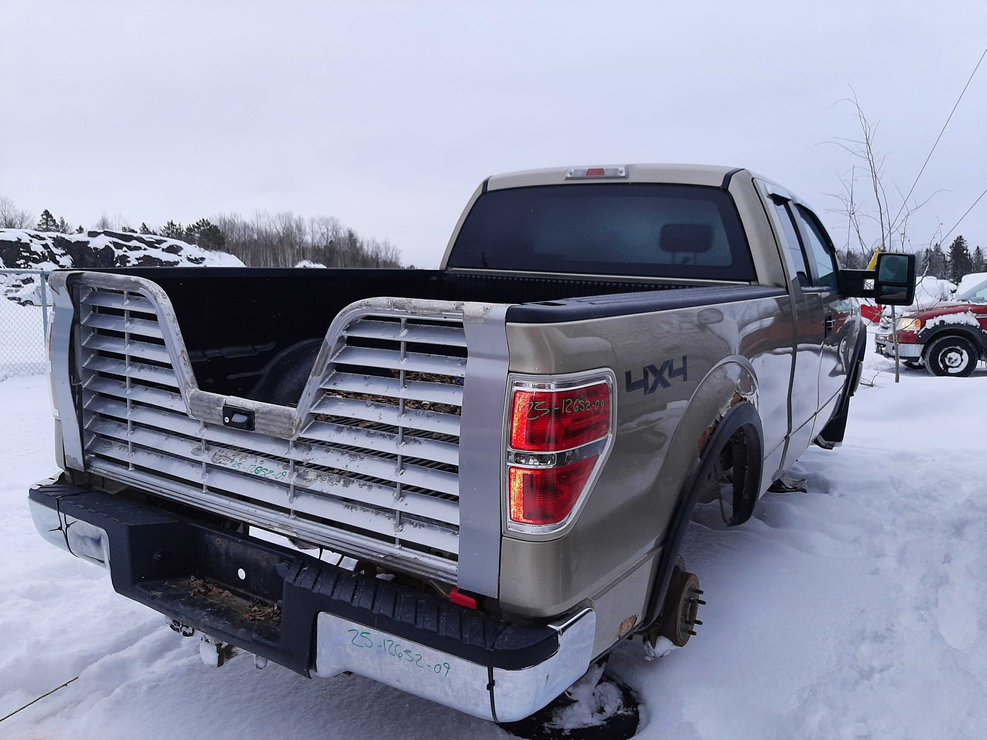 FORD F-150 2009