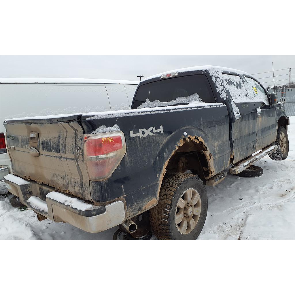 FORD F-150 2009