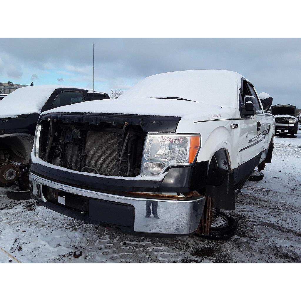 FORD F-150 2010