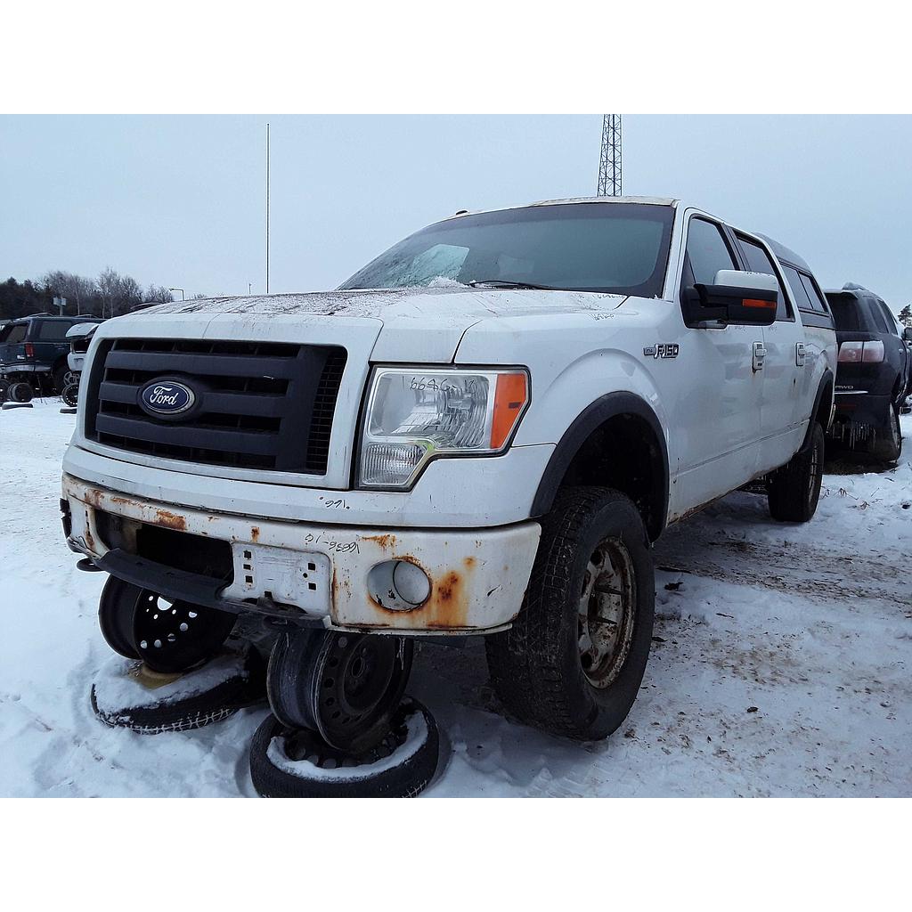 FORD F-150 2010