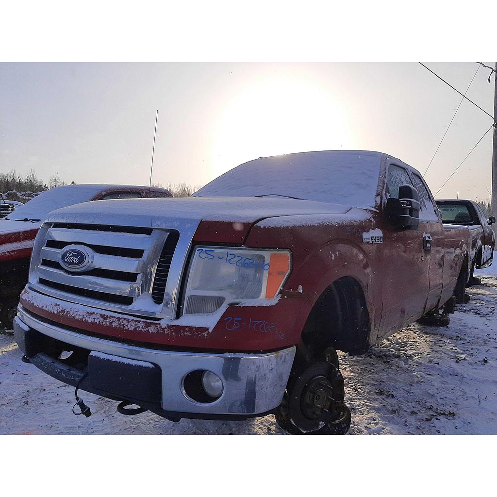 FORD F-150 2010