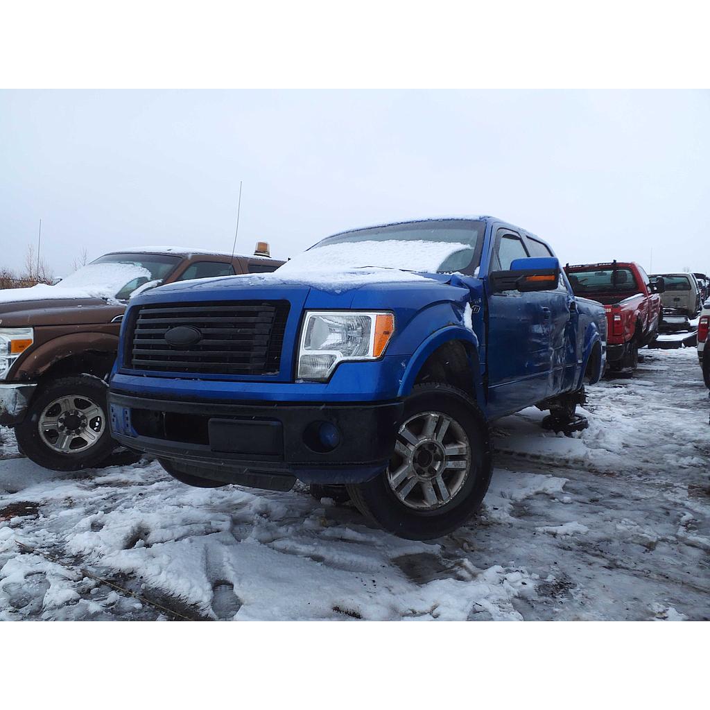 FORD F-150 2010