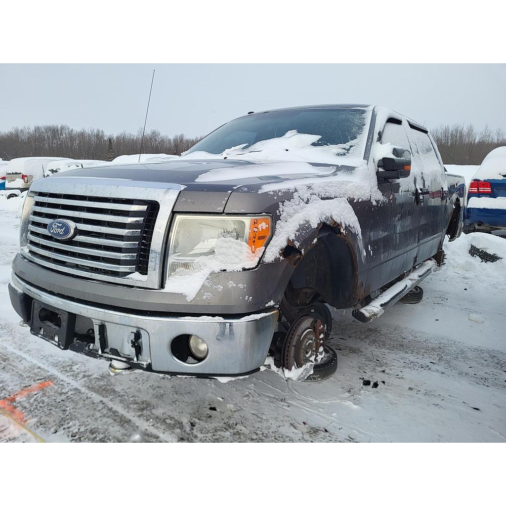 FORD F-150 2010
