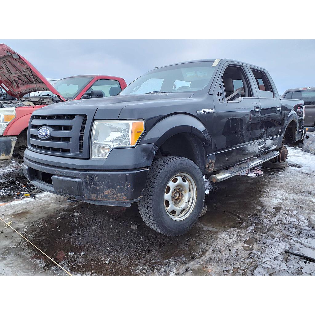 FORD F-150 2010
