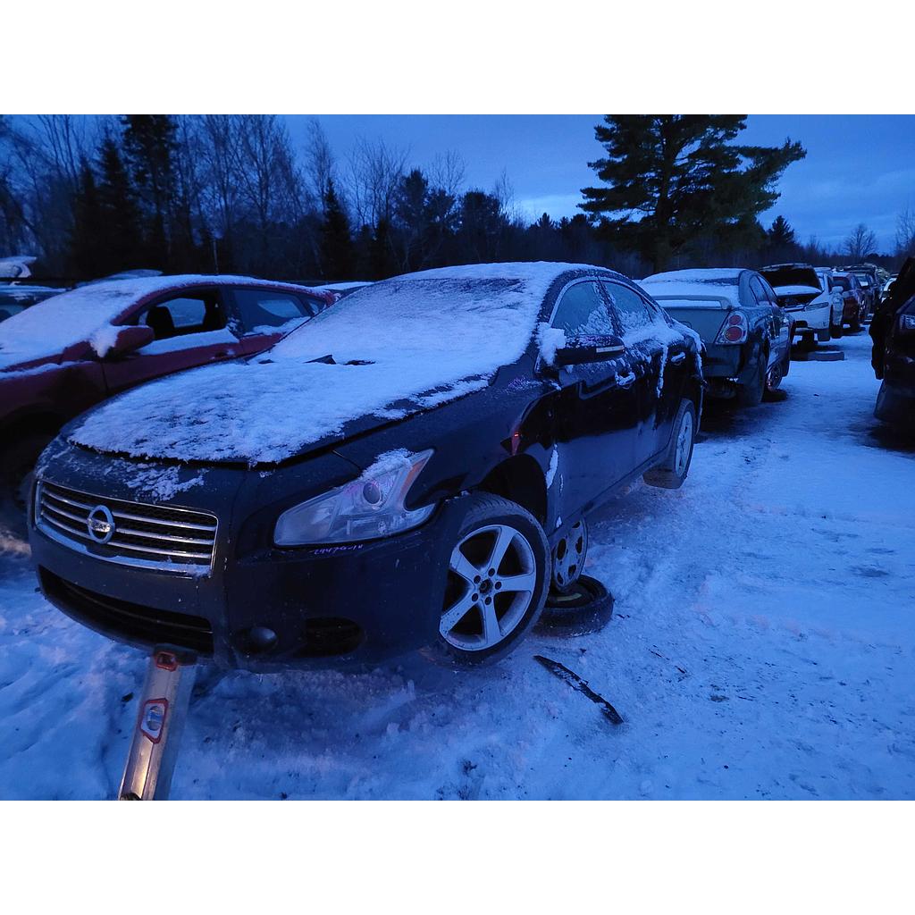 NISSAN MAXIMA 2010