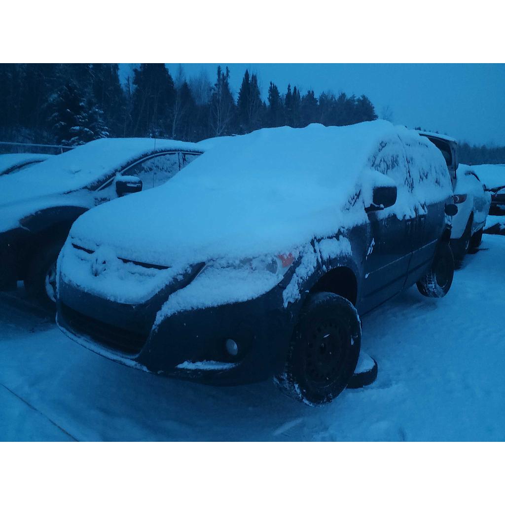 VOLKSWAGEN ROUTAN 2010