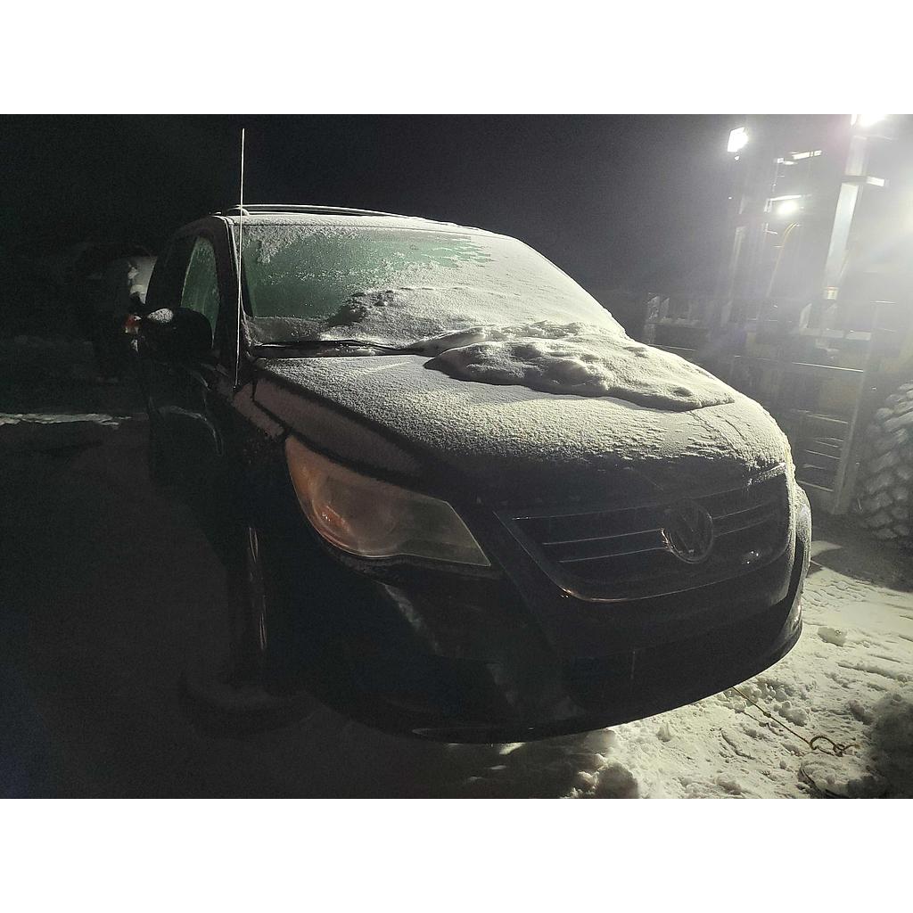 VOLKSWAGEN ROUTAN 2010