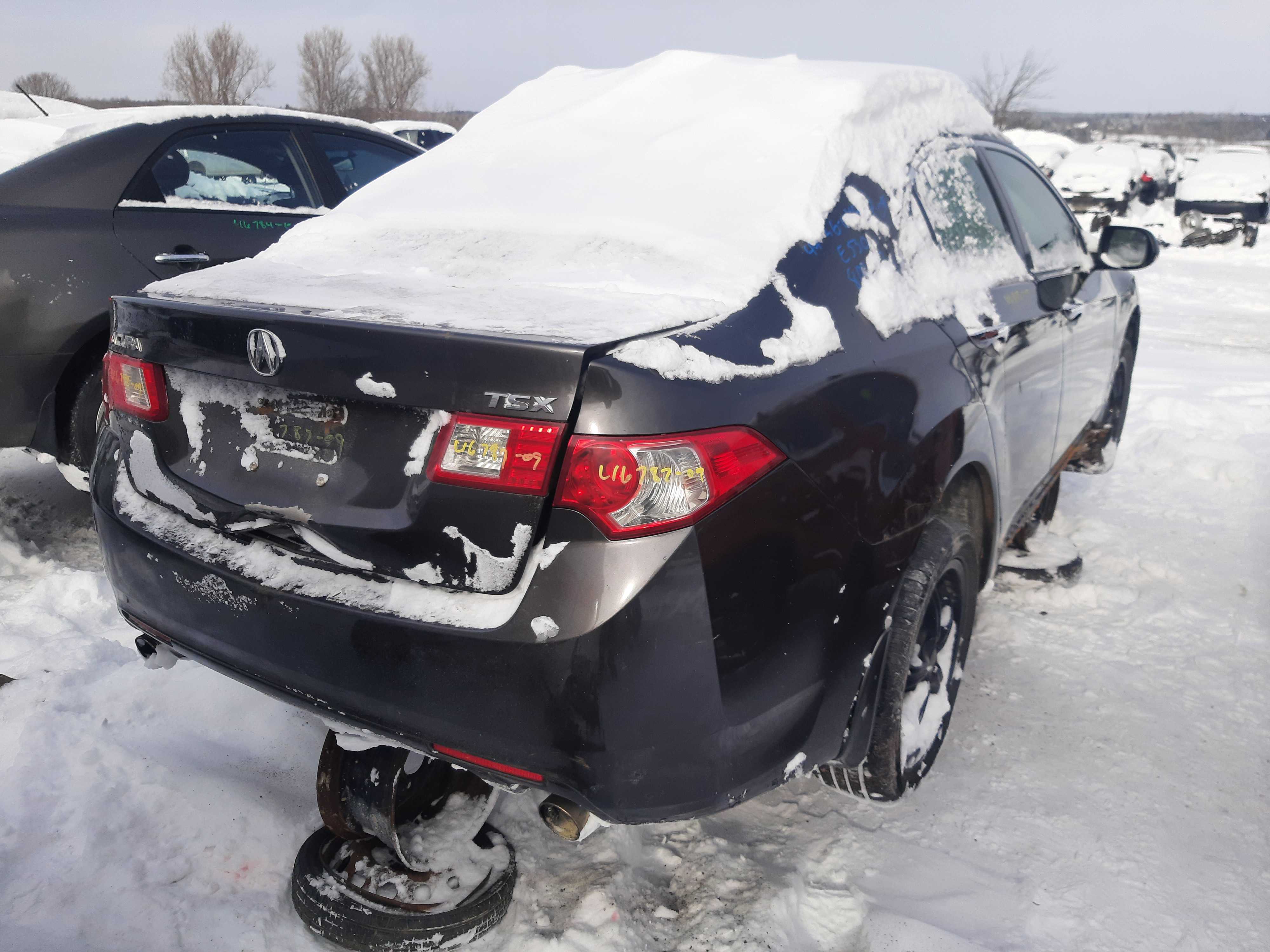 ACURA TSX 2009