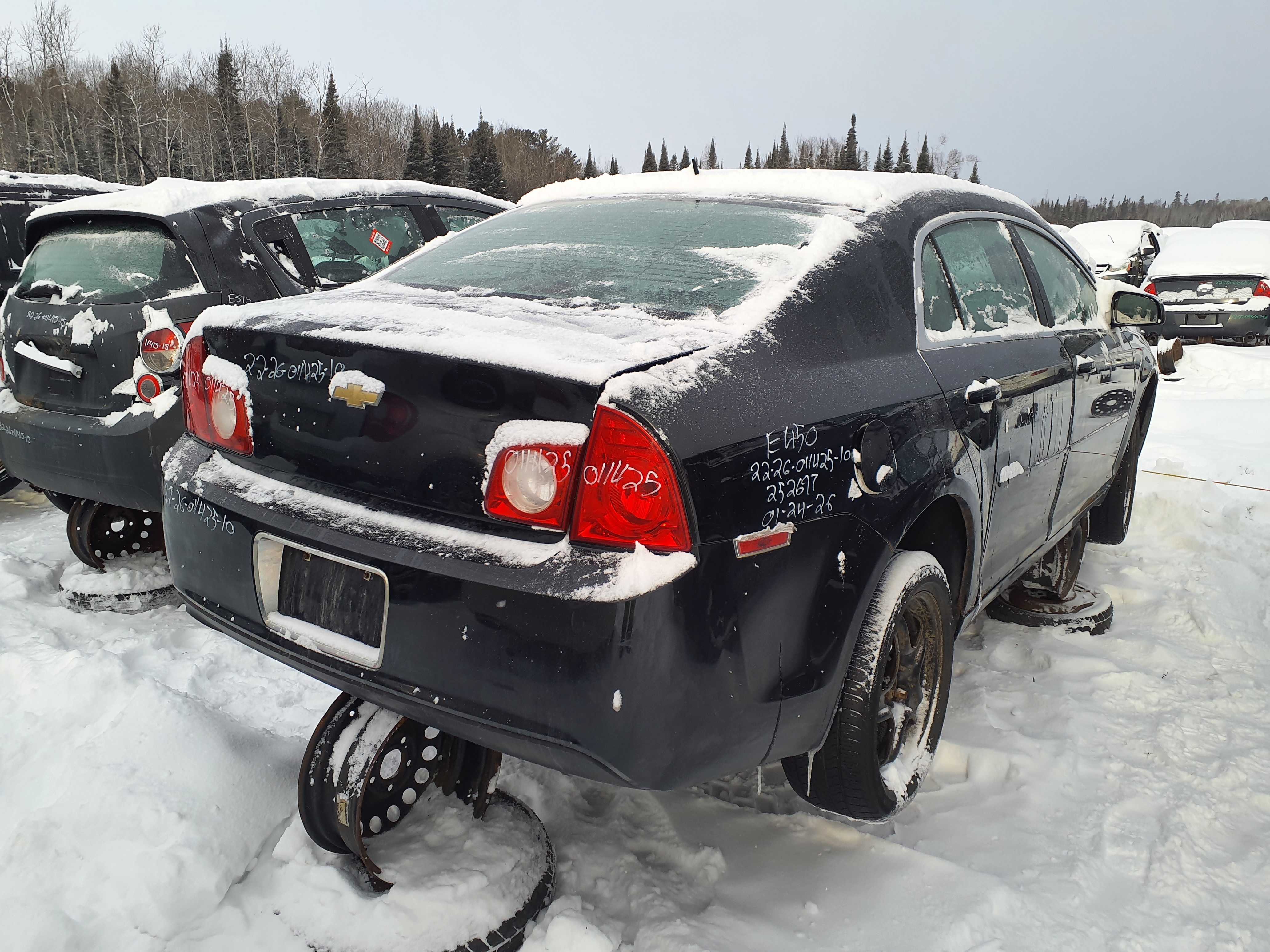 CHEVROLET MALIBU 2010