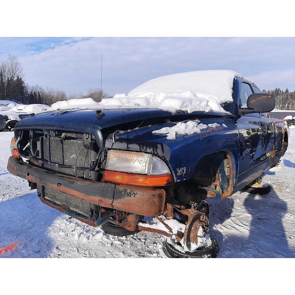 DODGE DAKOTA 2000