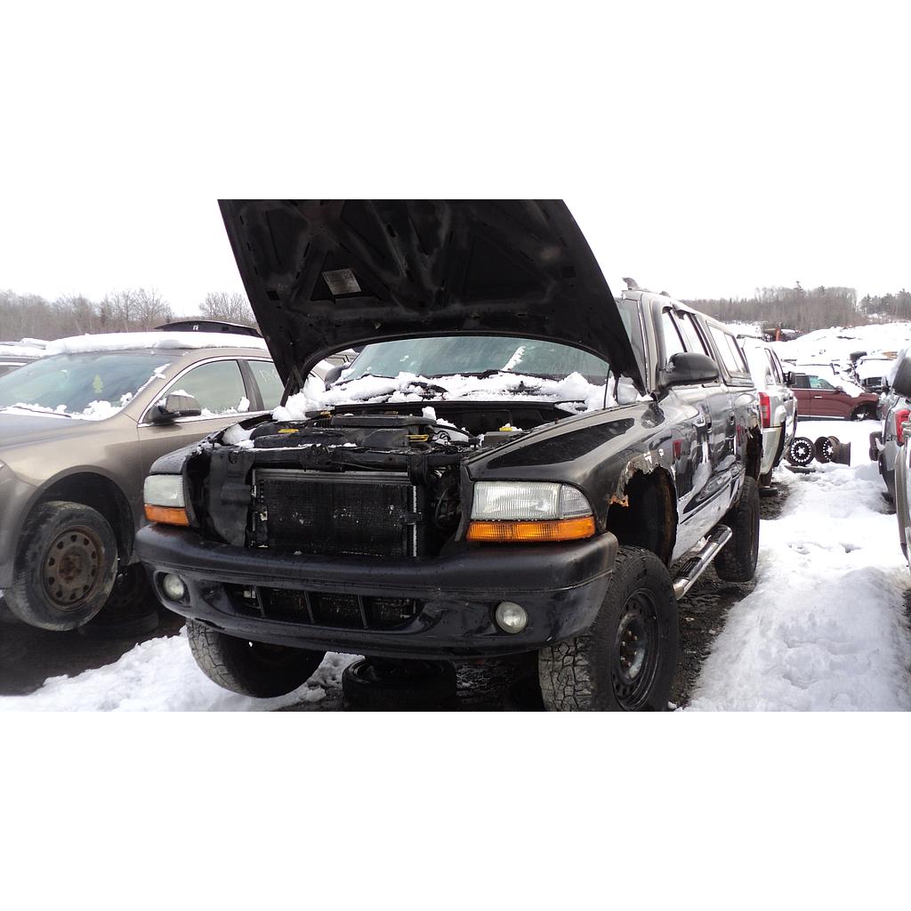 DODGE DAKOTA 2003