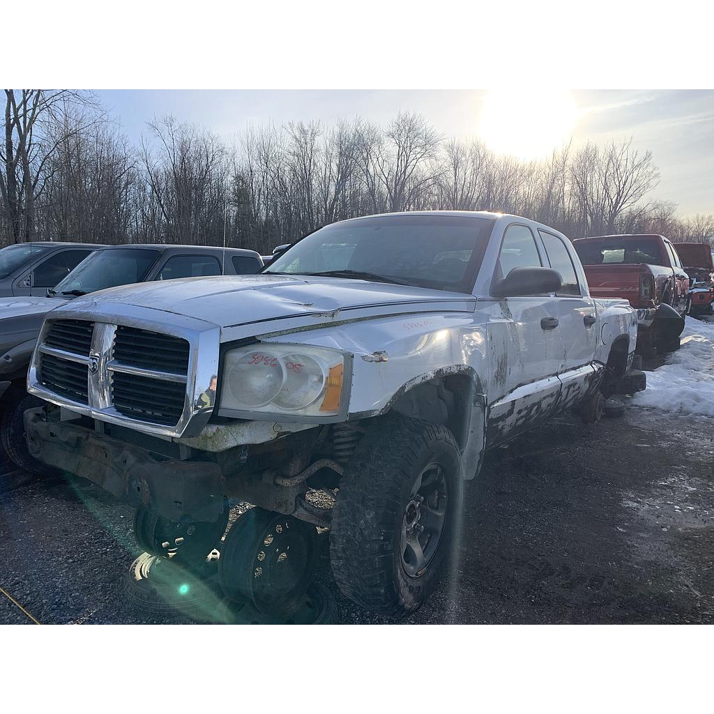 DODGE DAKOTA 2005
