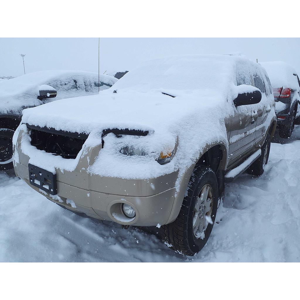 FORD ESCAPE 2007