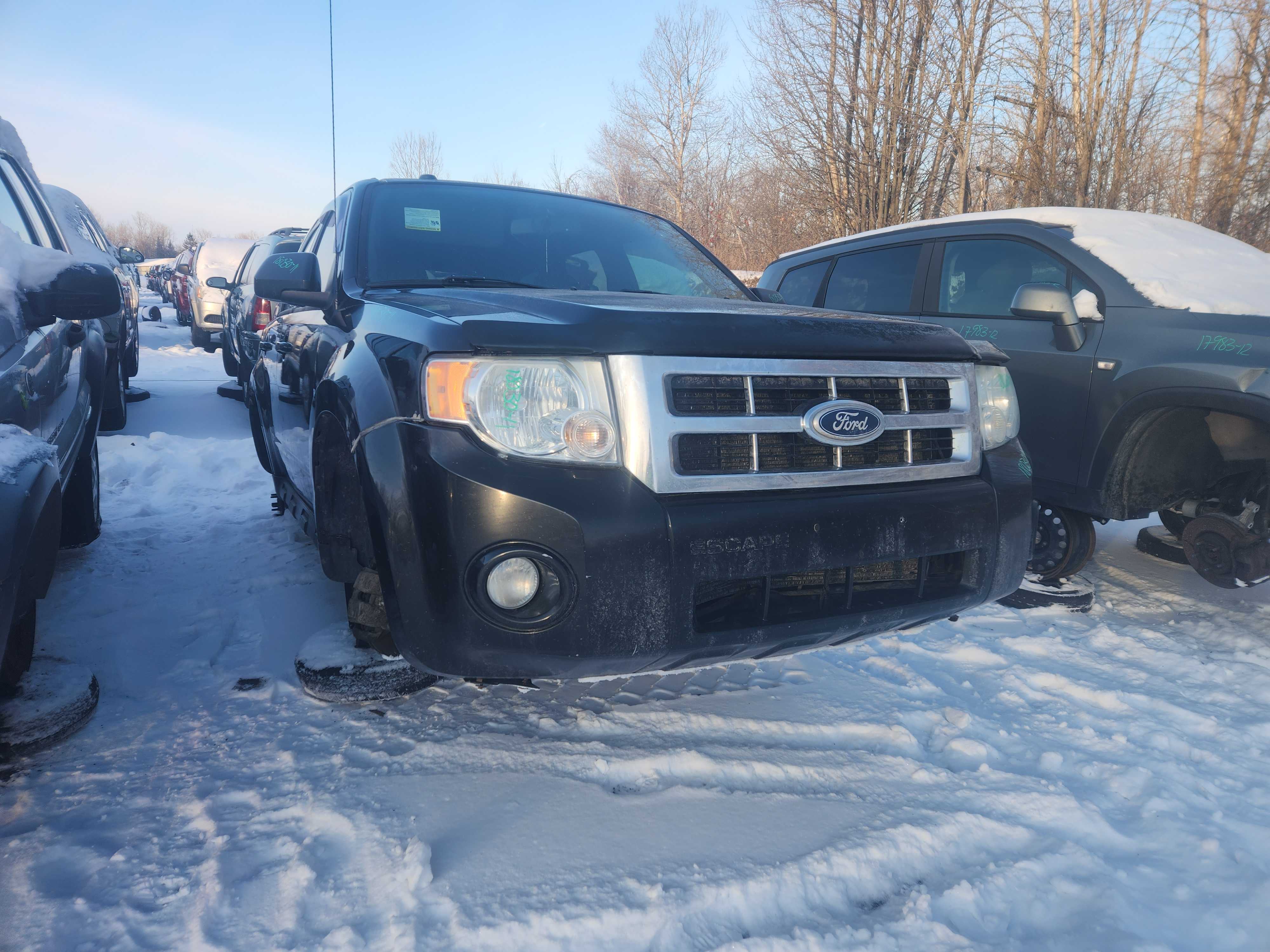 FORD ESCAPE 2011