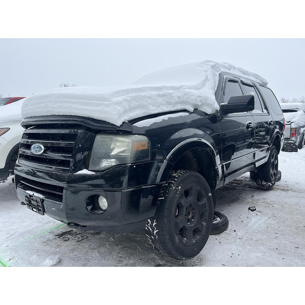 FORD EXPEDITION 2009