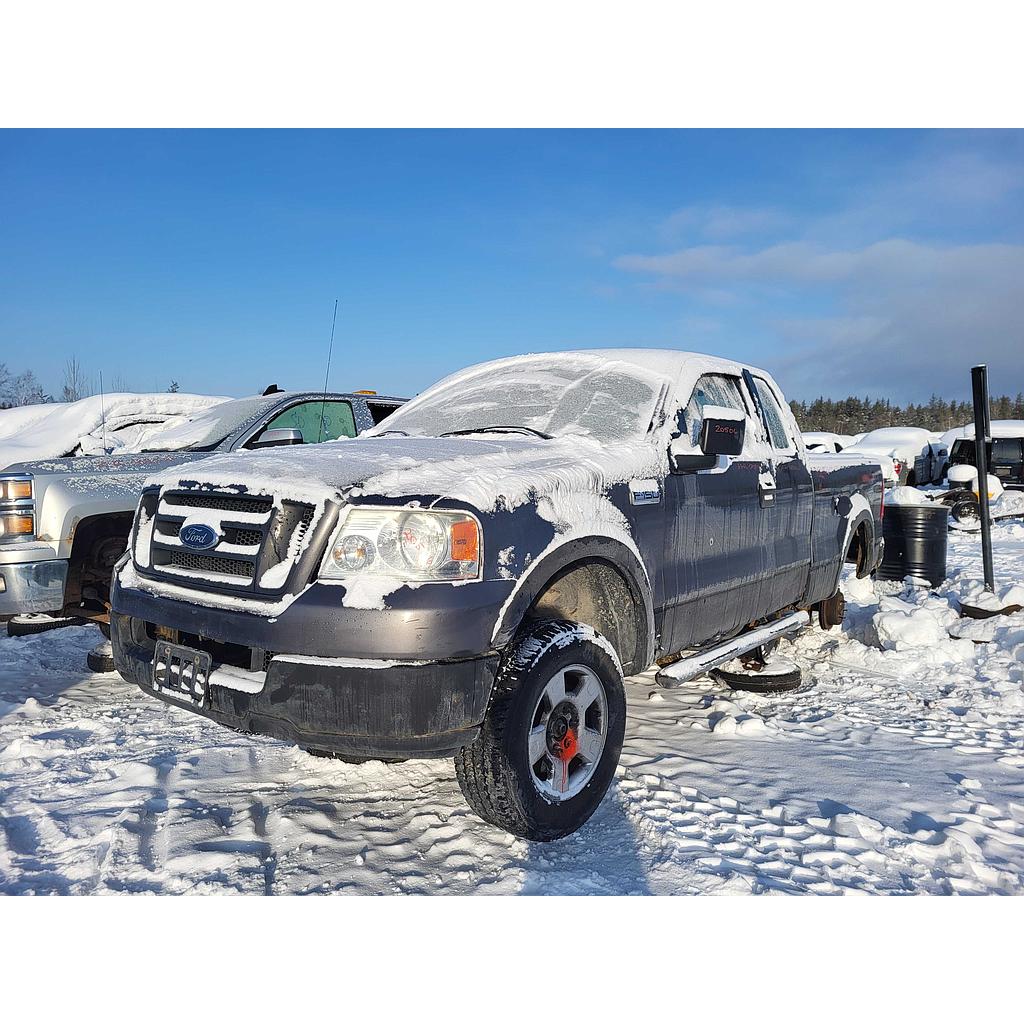 FORD F-150 2004