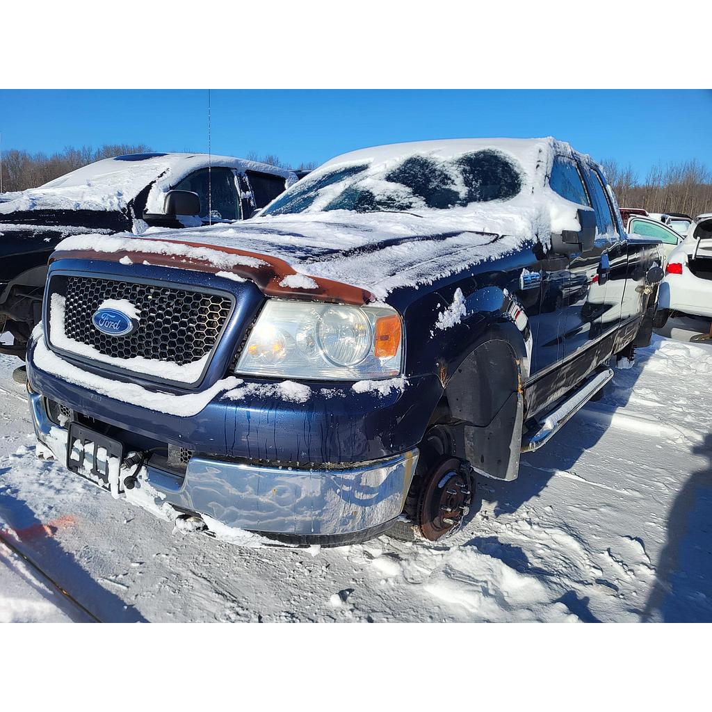 FORD F-150 2005
