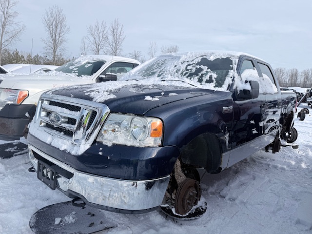 FORD F-150 2007