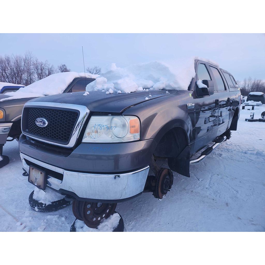 FORD F-150 2007