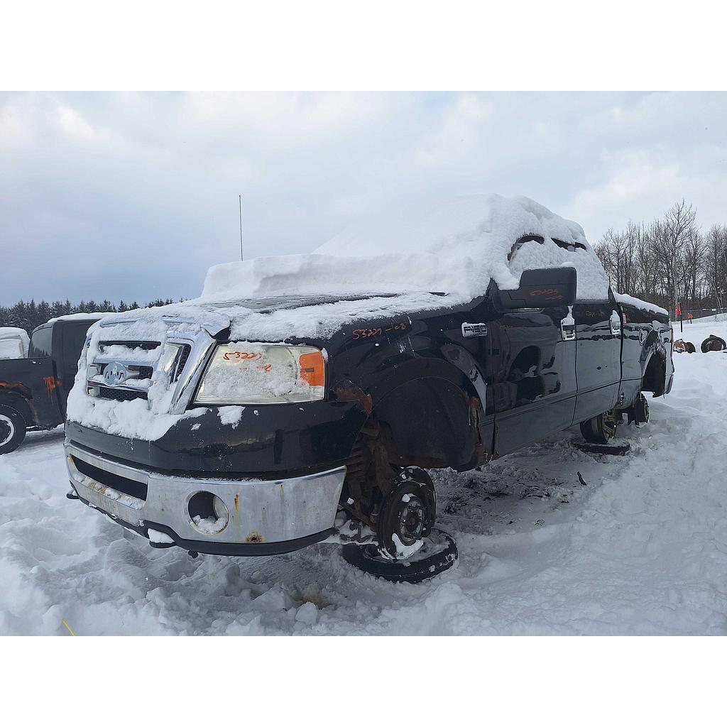 FORD F-150 2008