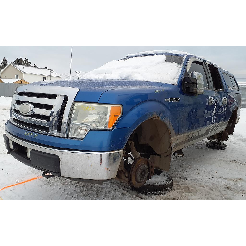 FORD F-150 2009