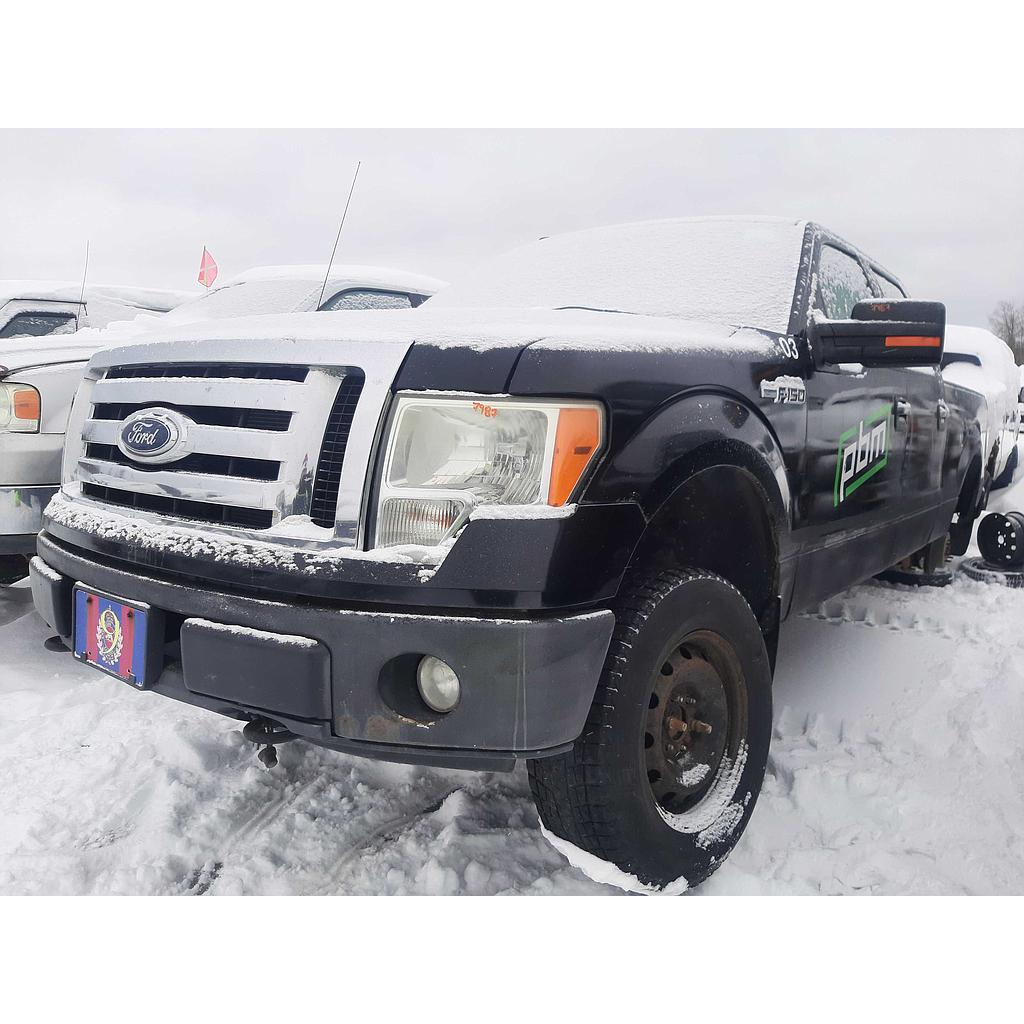 FORD F-150 2009