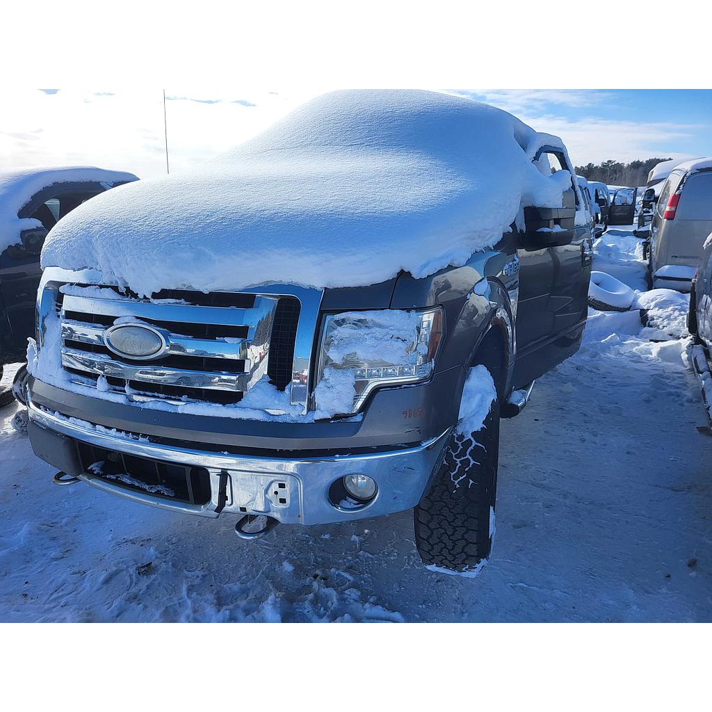 FORD F-150 2009