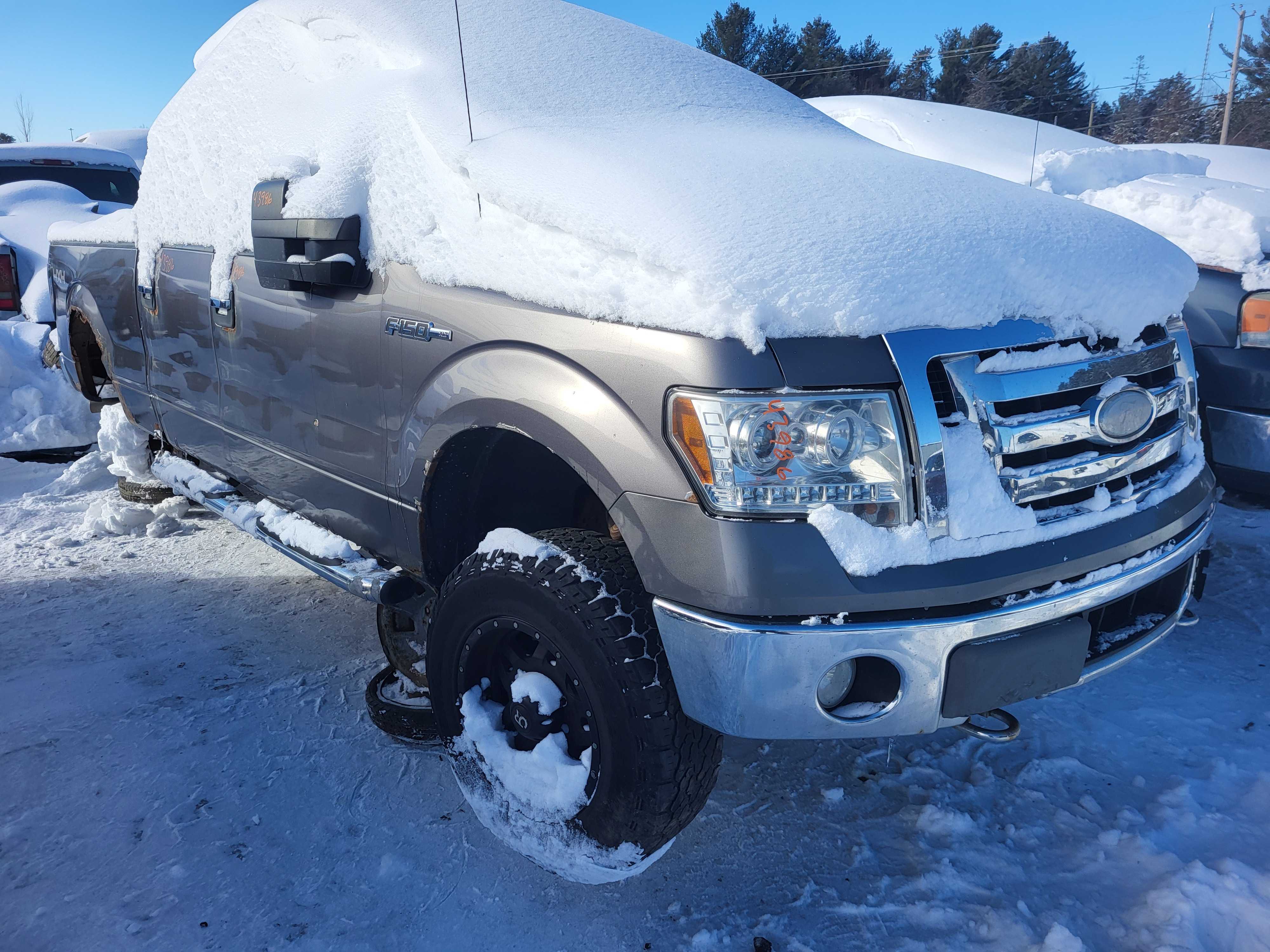FORD F-150 2009