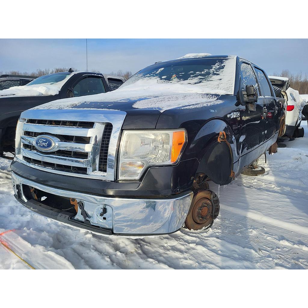 FORD F-150 2010