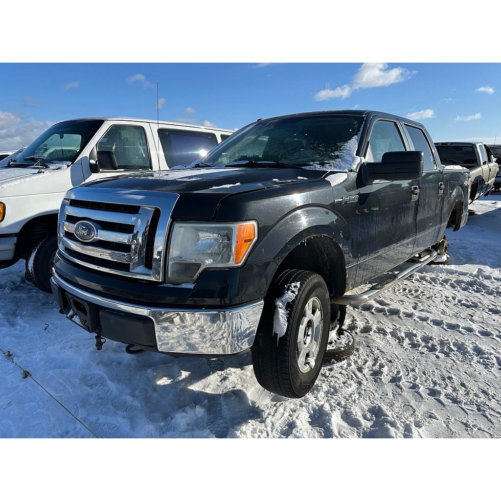 FORD F-150 2010