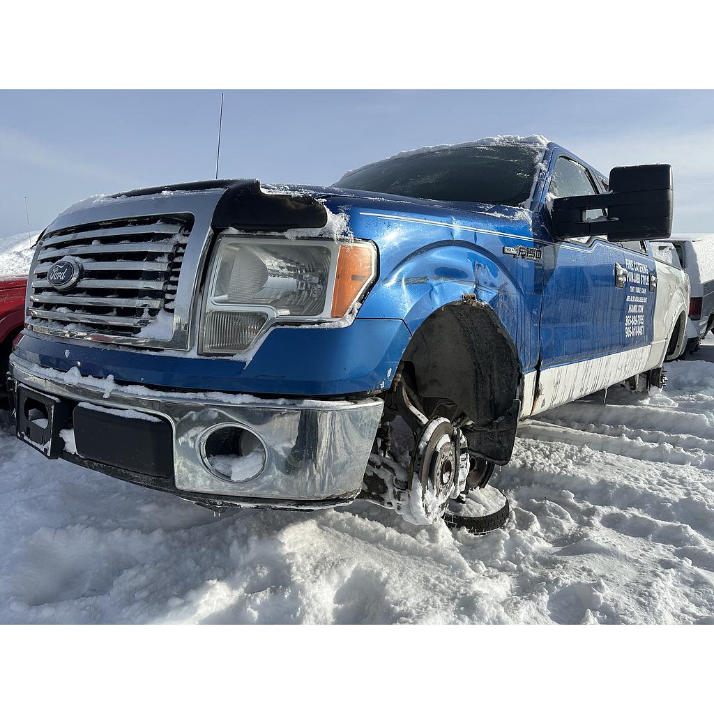 FORD F-150 2010