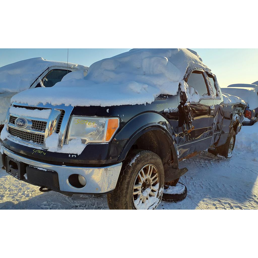 FORD F-150 2010