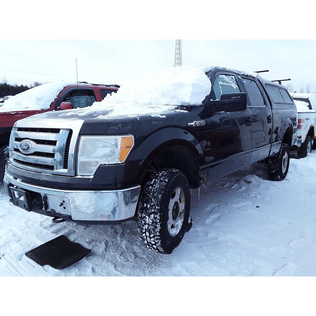 FORD F-150 2010