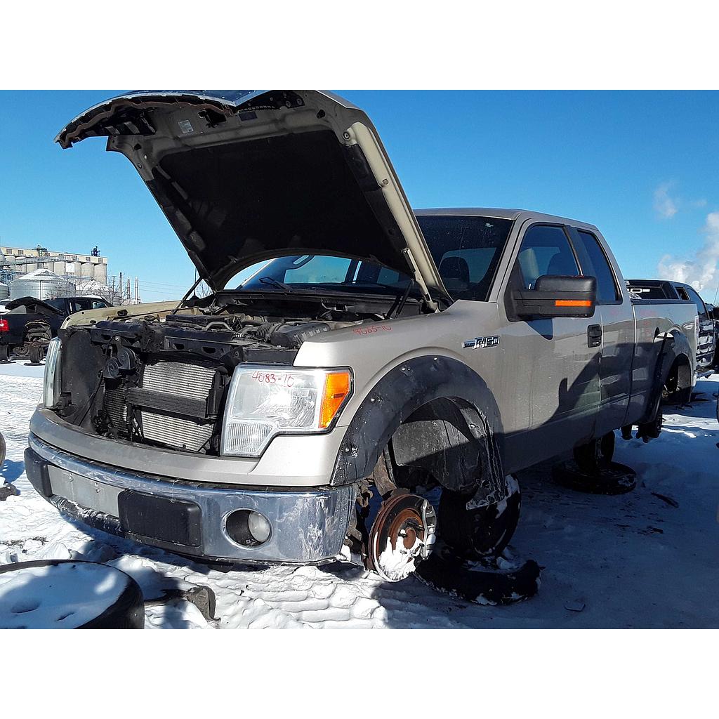 FORD F-150 2010