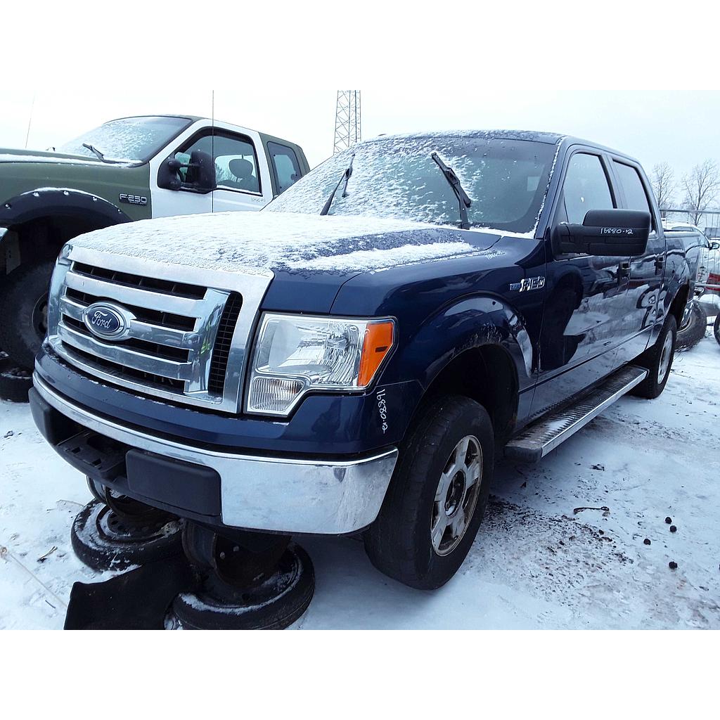 FORD F-150 2012