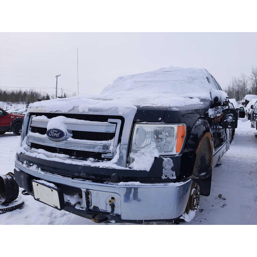 FORD F-150 2013