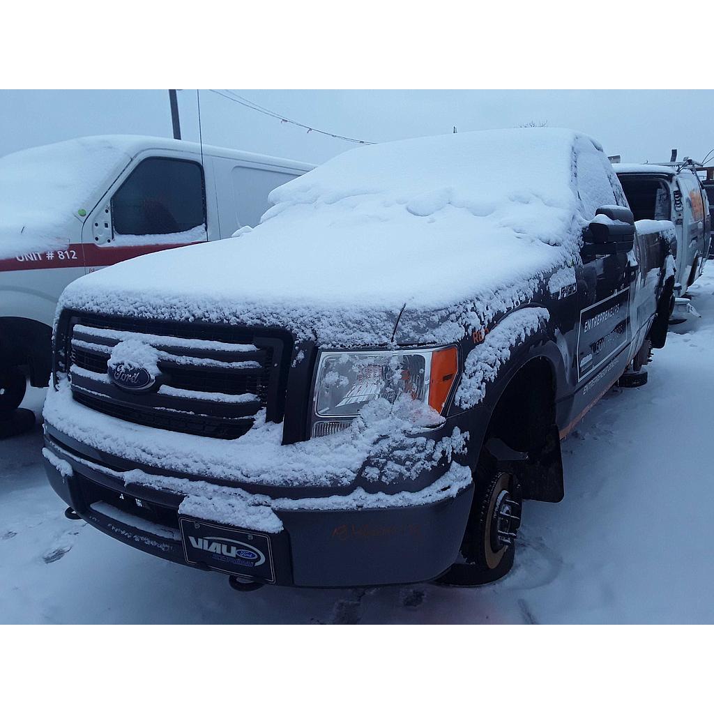 FORD F-150 2014