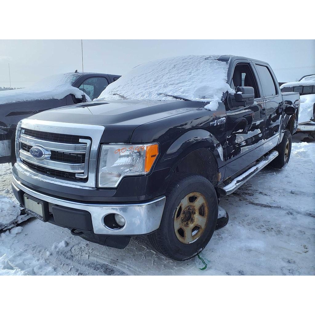 FORD F-150 2014