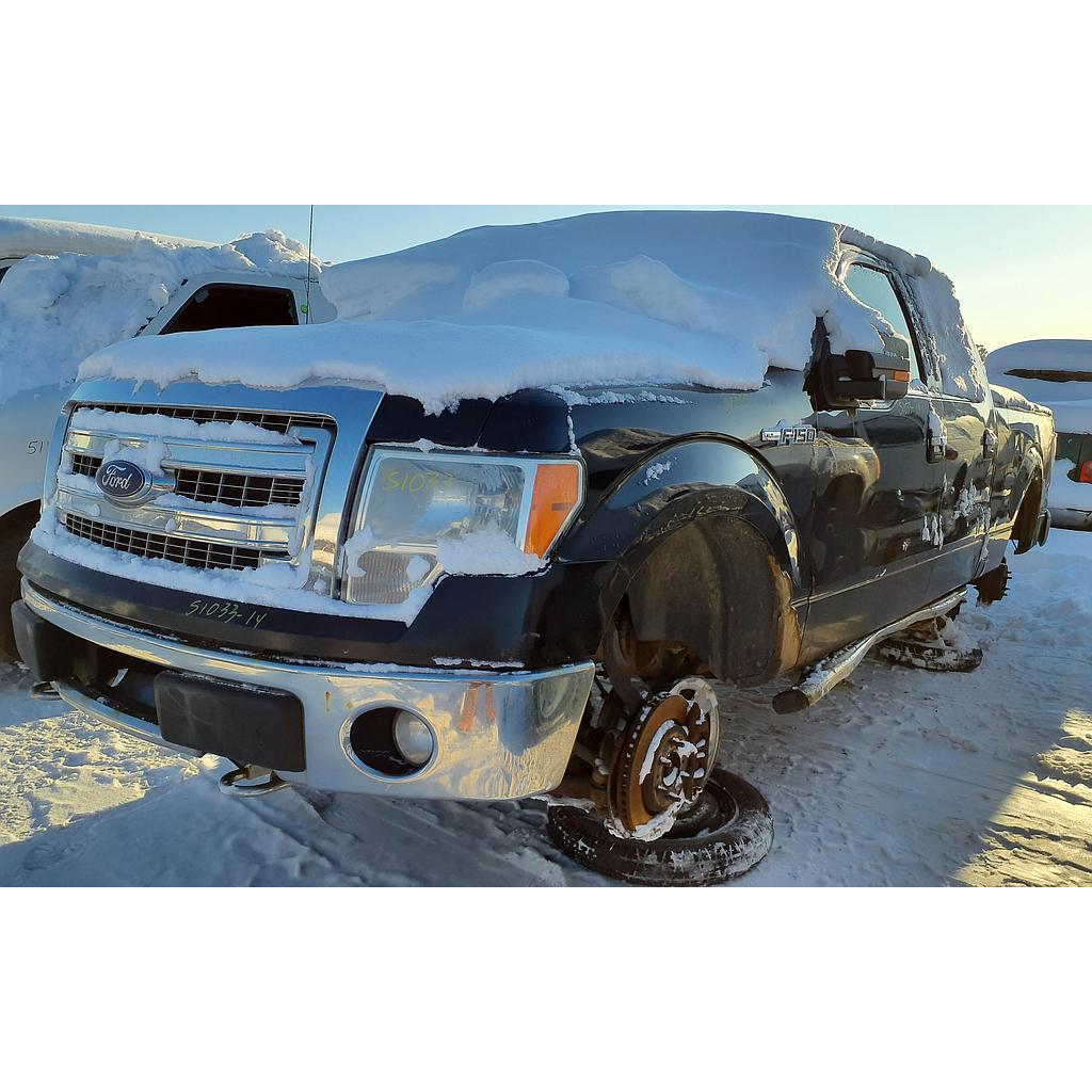 FORD F-150 2014